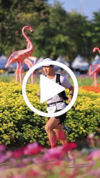 BIB:  <button type="button" onclick="openModal(27588587)" class="btn btn-primary btn-sm float-right" data-toggle="modal" data-target=".modal-high-quality">
                <i class="fa fa-download"></i> Download
                </button>